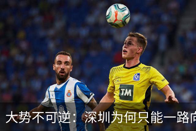 大势不可逆：深圳为何只能一路向西？深中通道彻底锁发展方向